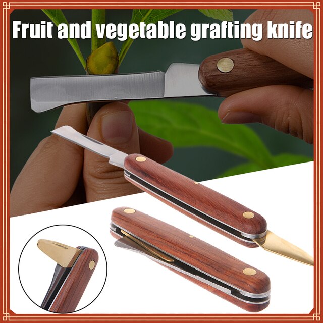ExtremeOutdoorL's tweet photo. Looking for a new foldable pruning knife? This knife is portable, convenient, multiuse, and made from high quality materials. Check out our website to get yours delivered directly to you!

https://t.co/U5aoMQeT6s

#pruning #pruningknife #gardening #garden #plants #yard #portable https://t.co/wZod2dEACO