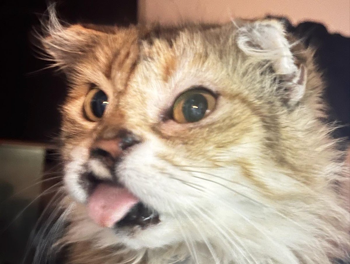 Look at us. Back with the X