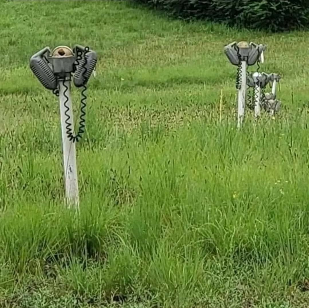 Damien Scott tweet media