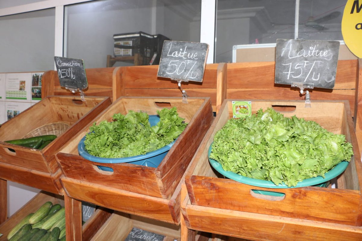 UNBenin's tweet photo. @AgriMission, start-up de commercialisation de produits maraichers agroécologiques, a amélioré son chiffre d'affaires en passant de 6millions à + de 37millions grâce à @UNBenin à travers @FIDAfriqueOuest, #PADMAR et partenaires @gouvbenin, @ambJaponBenin.

#SupervisionPadmar2023 https://t.co/h6i0YQL50E