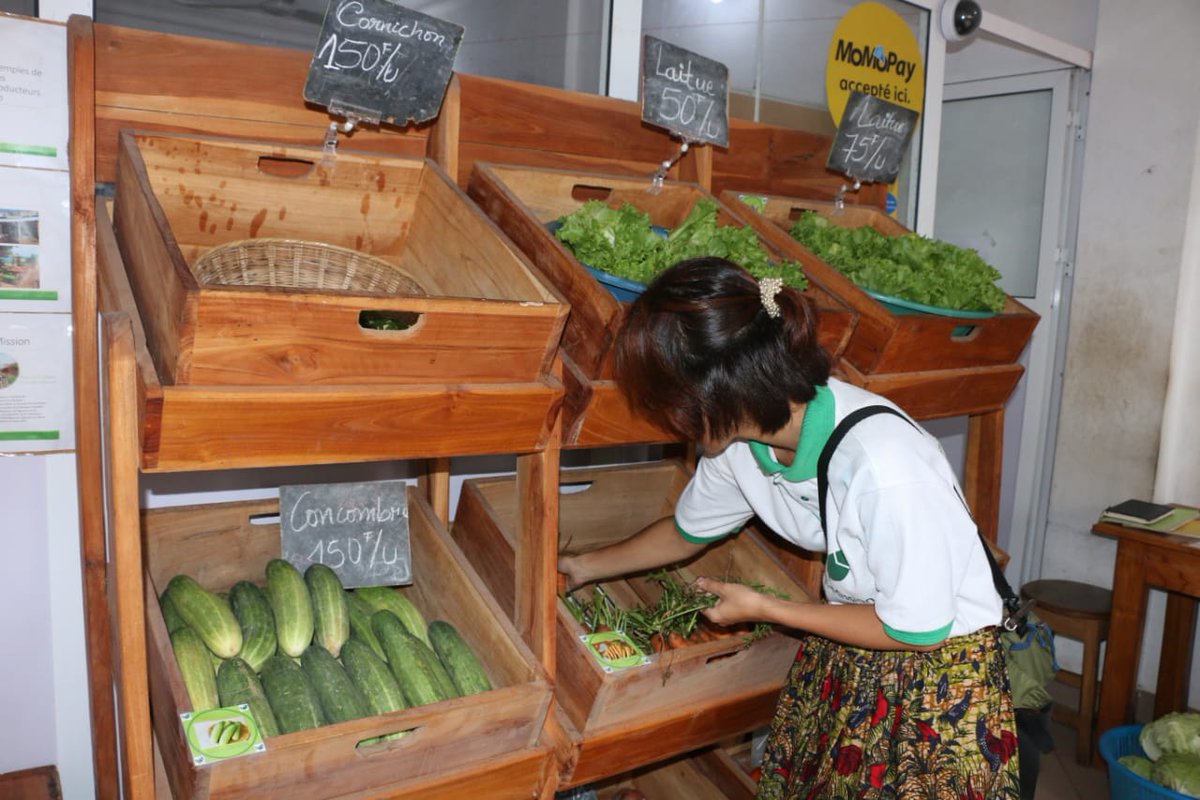 UNBenin's tweet photo. @AgriMission, start-up de commercialisation de produits maraichers agroécologiques, a amélioré son chiffre d'affaires en passant de 6millions à + de 37millions grâce à @UNBenin à travers @FIDAfriqueOuest, #PADMAR et partenaires @gouvbenin, @ambJaponBenin.

#SupervisionPadmar2023 https://t.co/h6i0YQL50E