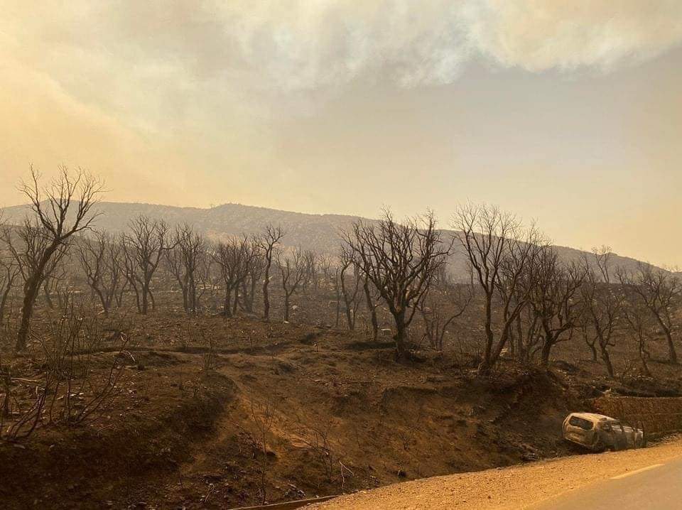 Devastated 🥺, Wildfire in my home town today.  #ClimateChange