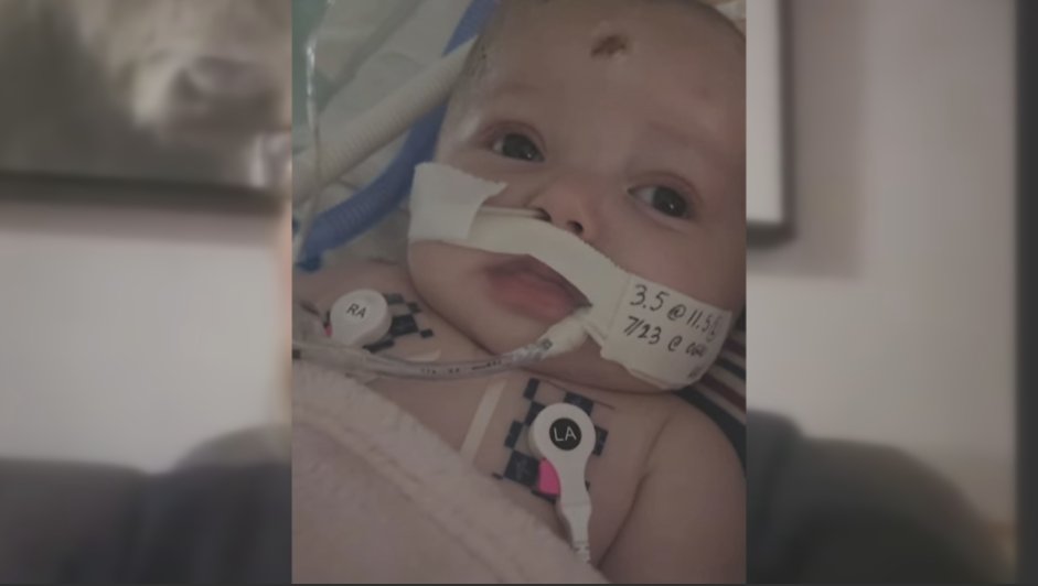 Chris Yu tweet media