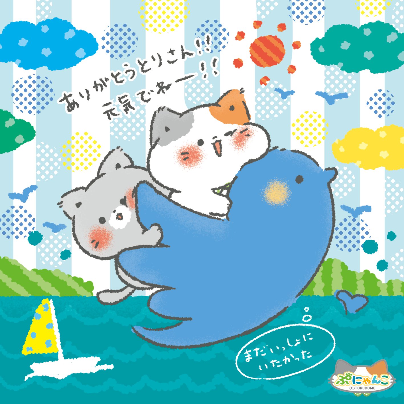 ふらんすねこ様♡ありがとうございます♡ ぷにゃんこ🐾｜TOKUDOME🌼 on X: 