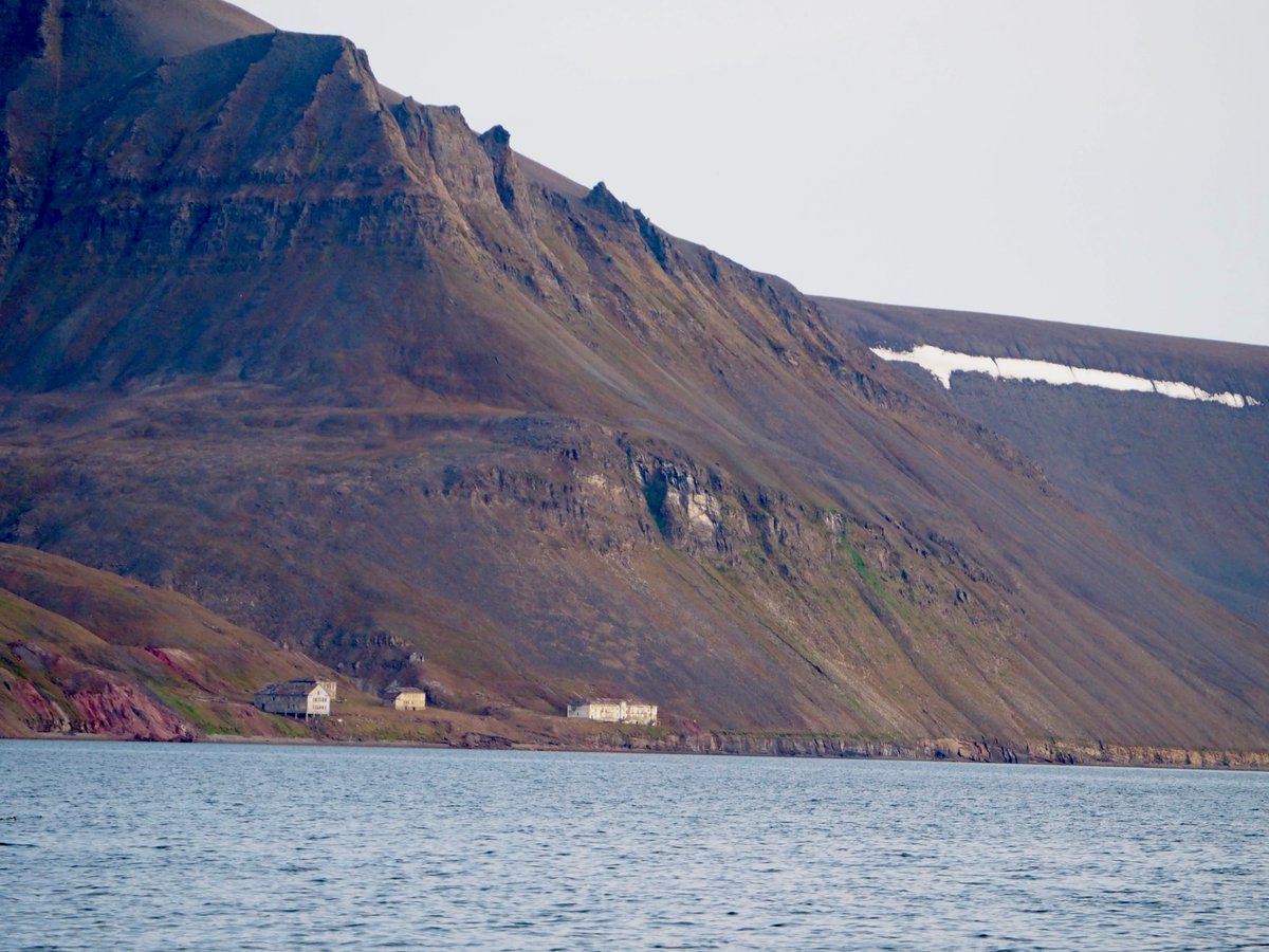 SophieWeides's tweet photo. Thrilled to share that our fieldwork is cruising into success! 🚢🏔️ Currently embarking on the second phase in the stunning Isfjorden via sailing boat. 🌊⛵️ #FieldworkAdventures #ArcticExpedition #PolarResearch #Ecology 🎓🇳🇴🇨🇭 @UNISvalbard @SwissPolar @UniBasel_en https://t.co/9SZlHGk0oe