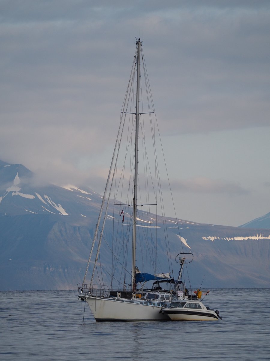 Sophie Weides (@sophieweides) on Twitter photo Thrilled to share that our fieldwork is cruising into success! 🚢🏔️ Currently embarking on the second phase in the stunning Isfjorden via sailing boat. 🌊⛵️ #FieldworkAdventures #ArcticExpedition #PolarResearch #Ecology 🎓🇳🇴🇨🇭 <a href="/UNISvalbard/">UNIS</a> <a href="/SwissPolar/">Swiss Polar Institute @swisspolar.bsky.social</a> <a href="/UniBasel_en/">University of Basel</a> Thrilled to share that our fieldwork is cruising into success! 🚢🏔️ Currently embarking on the second phase in the stunning Isfjorden via sailing boat. 🌊⛵️ #FieldworkAdventures #ArcticExpedition #PolarResearch #Ecology 🎓🇳🇴🇨🇭 <a href="/UNISvalbard/">UNIS</a> <a href="/SwissPolar/">Swiss Polar Institute @swisspolar.bsky.social</a> <a href="/UniBasel_en/">University of Basel</a>