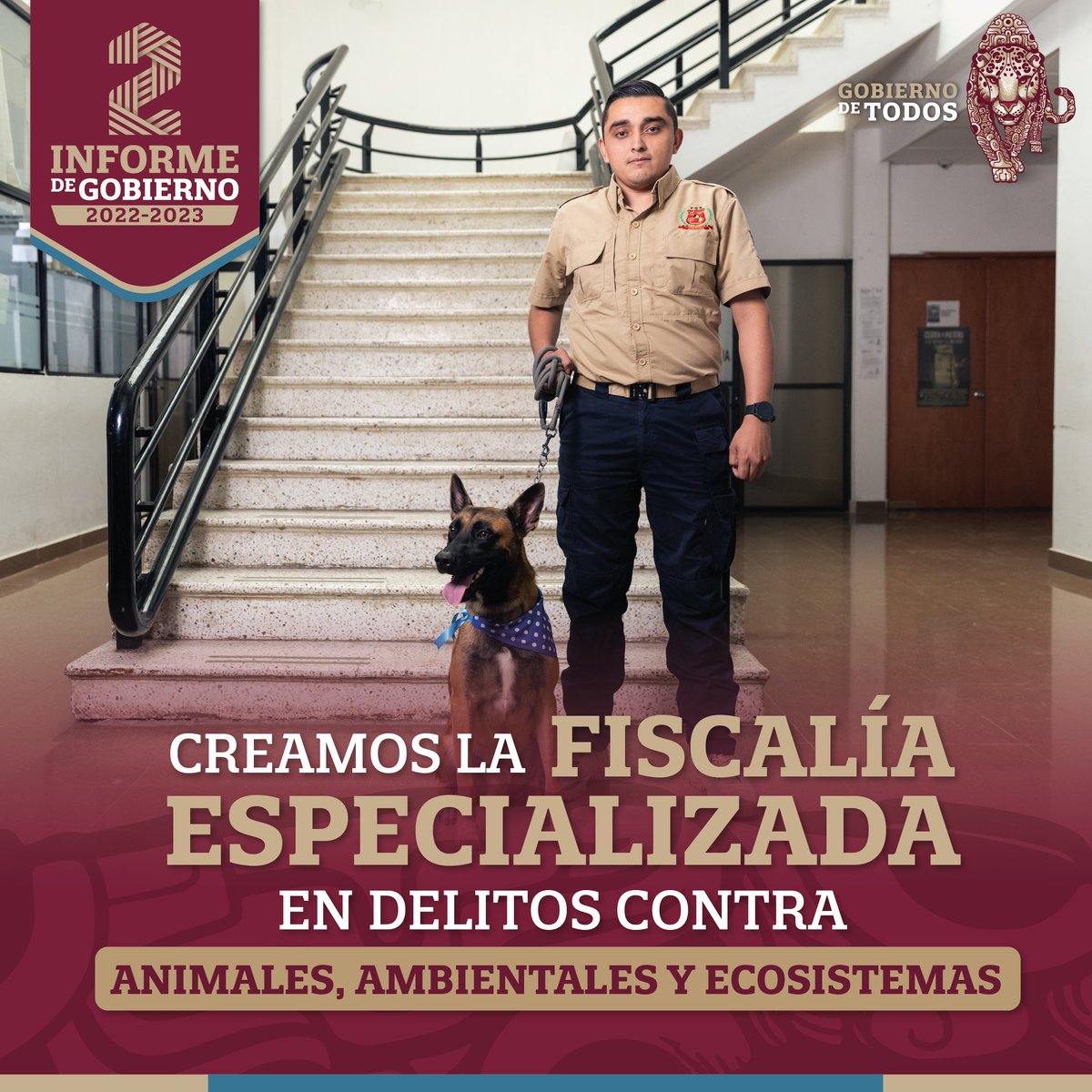 La prevención y sanción del maltrato animal es un reclamo social que ya se atiende. Esta área tiene el apoyo del personal pericial y policial que necesita.

#Layda2doInforme