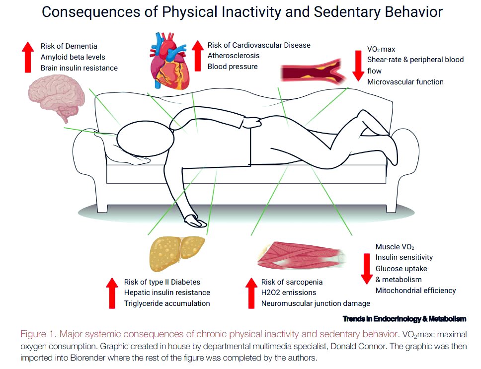 Gareth__JH's tweet photo. Consequences of Physical Inactivity and Sedentary Behaviour https://t.co/GaTZCErmou