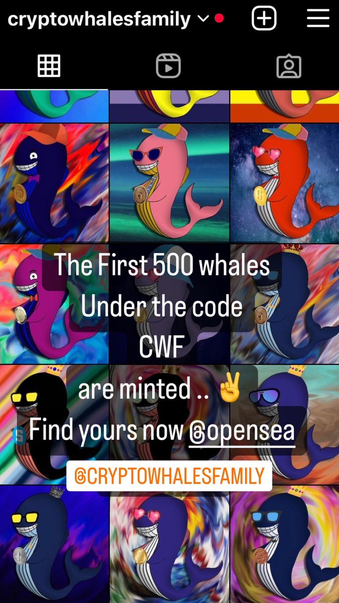 Crypto Whales Family tweet media