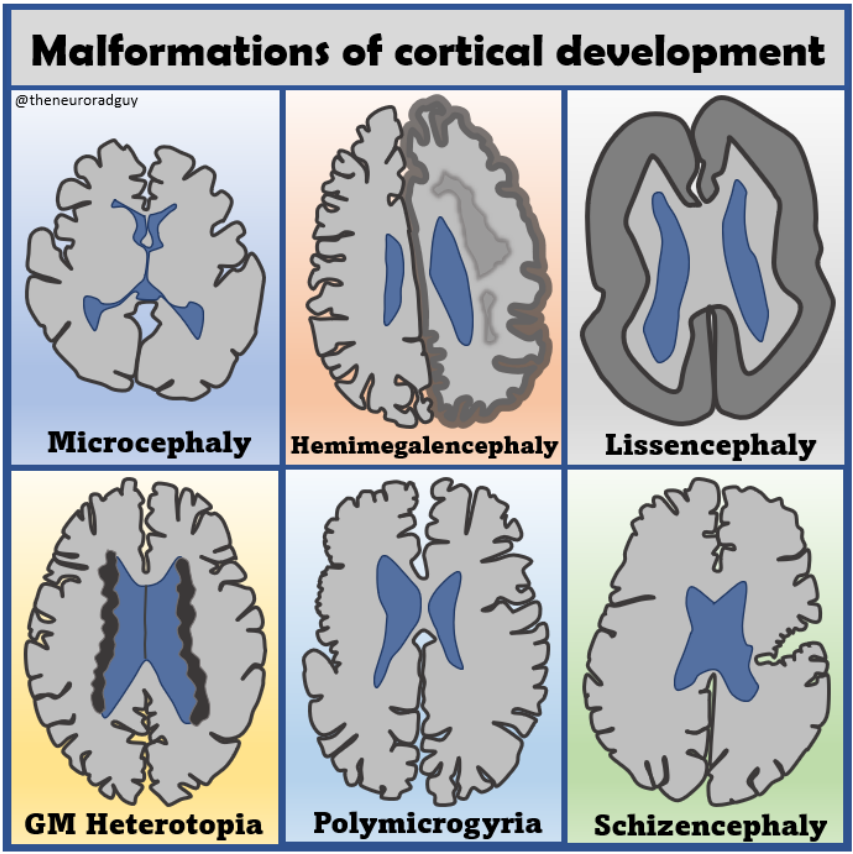 The Neuroradiologist tweet media