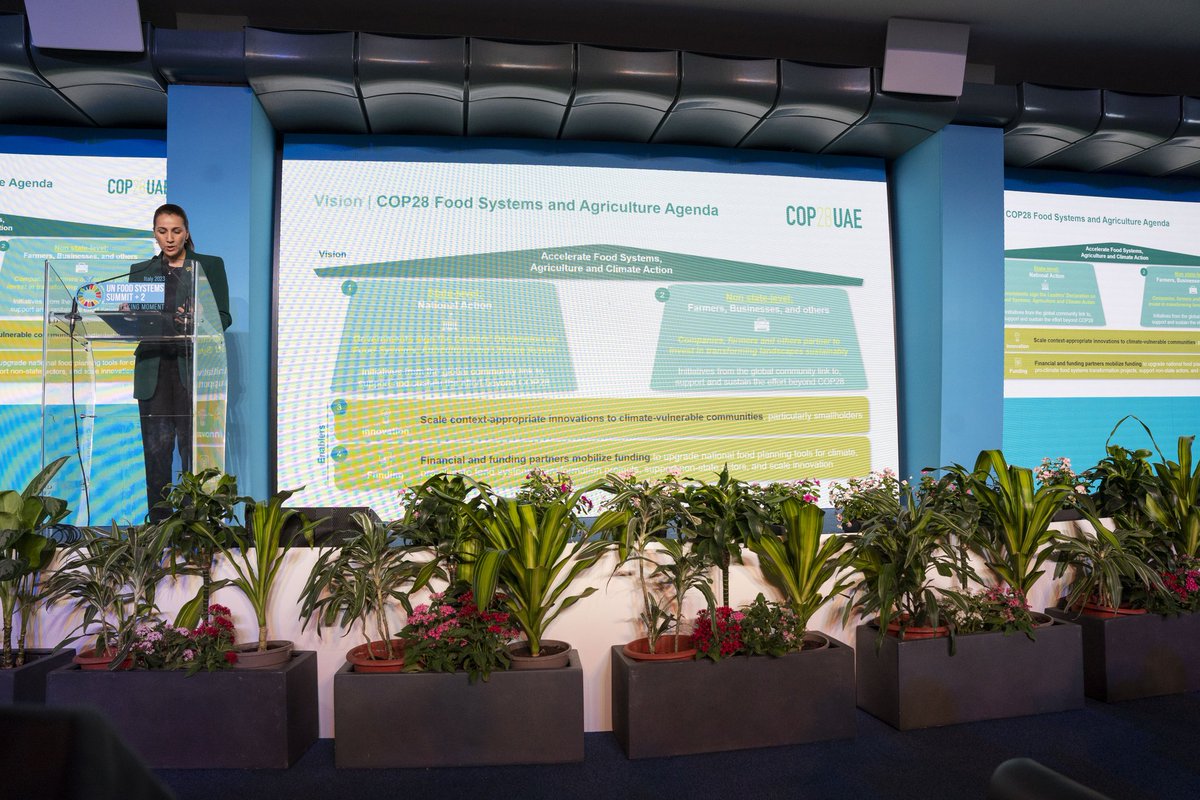 Mariam Almheiri | مريم المهيري tweet media