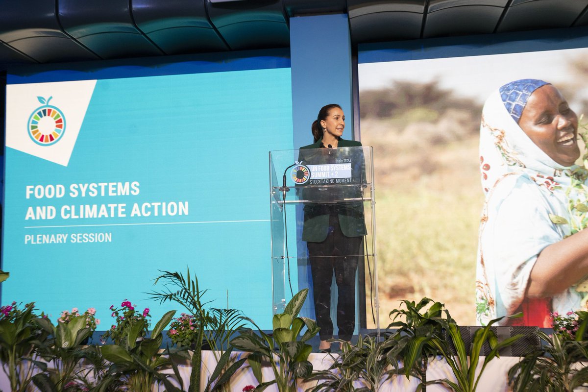 Mariam Almheiri | مريم المهيري tweet media