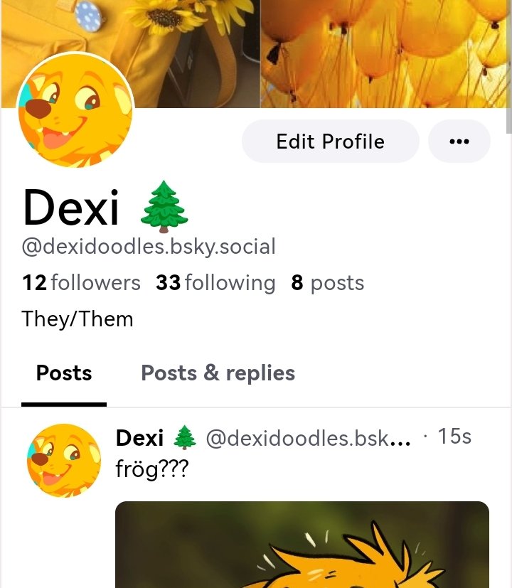 Dexi (Moved!) tweet media