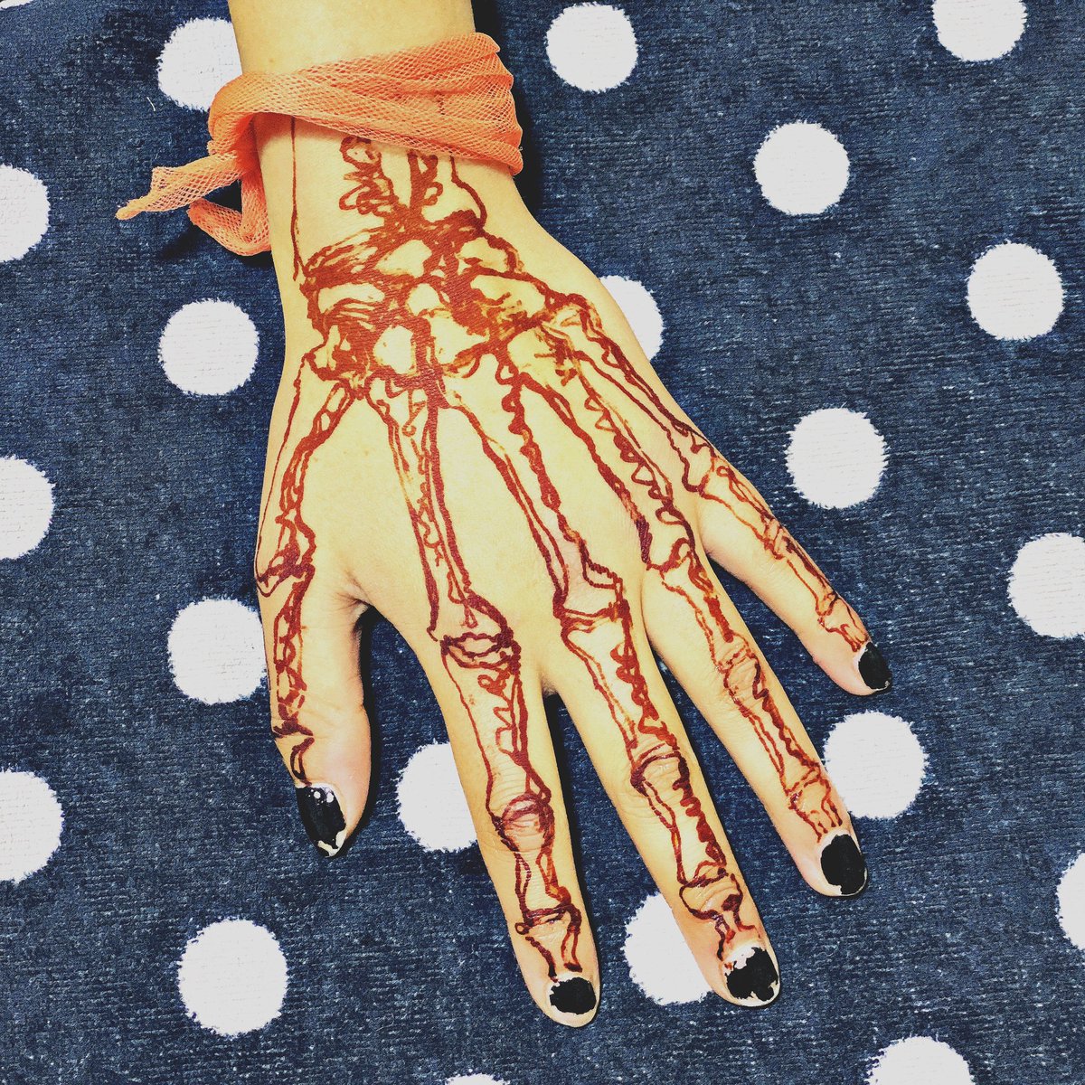 Prof Alice Roberts💙 tweet media