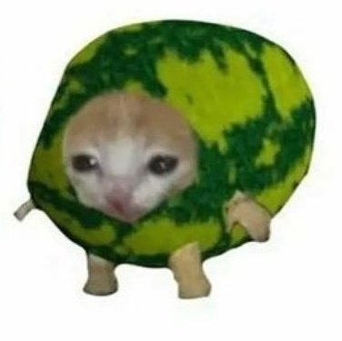 roboticbunny_'s tweet photo. My tummy hurts..... https://t.co/cITjkrJhiX