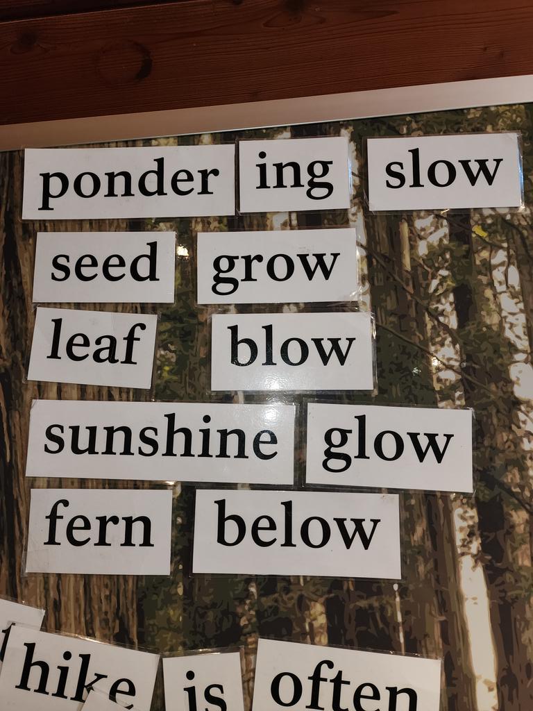 Chris Wallis tweet media