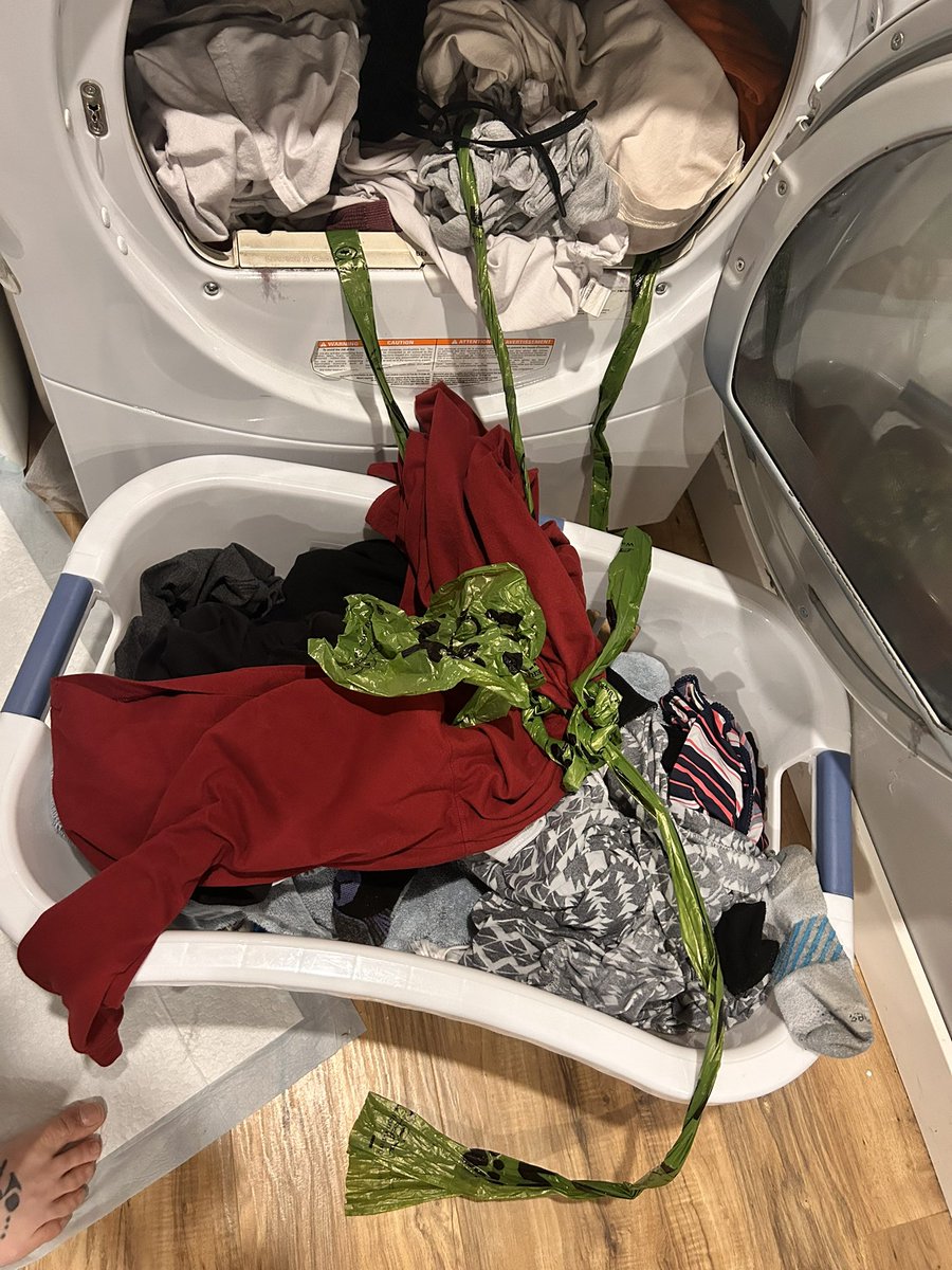 Ash Vickers tweet media