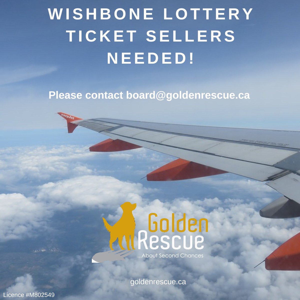 TICKET SELLERS NEEDED! We are looking for volunteers to help sell tickets for our Wishbone Lottery. We need all the support we can get to help our beloved Golden friends! If you can help, please email board@goldenrescue.ca to request tickets.

#goldenretriever #rescuedog
