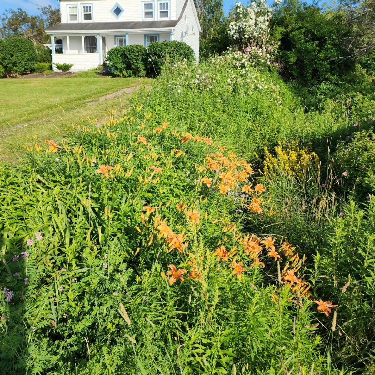 InnovaBuilders's tweet image. New growth happening at The Hill! Book your vacation here in Cape Breton. air.tl/TpnaQLuM