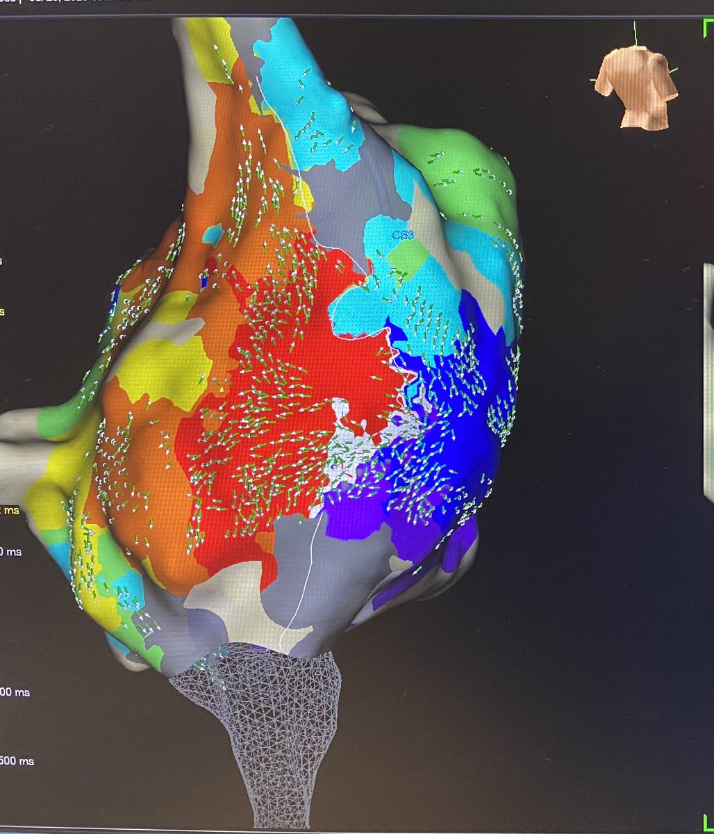 Lydia Gordon tweet media