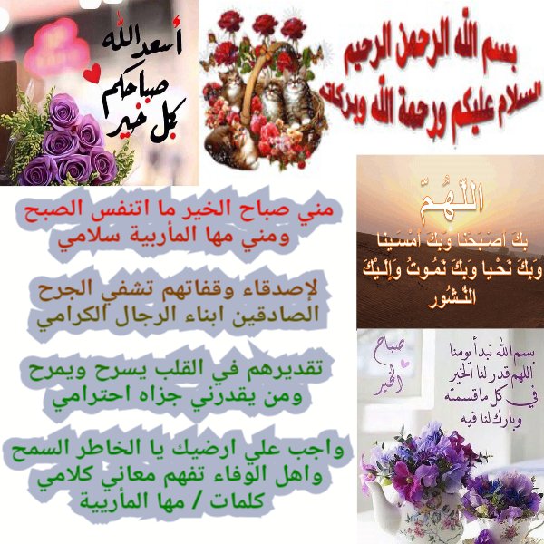 مها المأربية tweet media