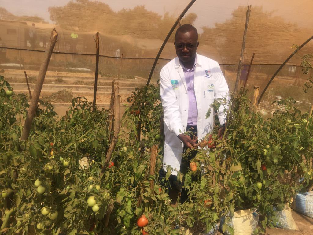 Training next génération on  Agricultural Research for Devlopment !