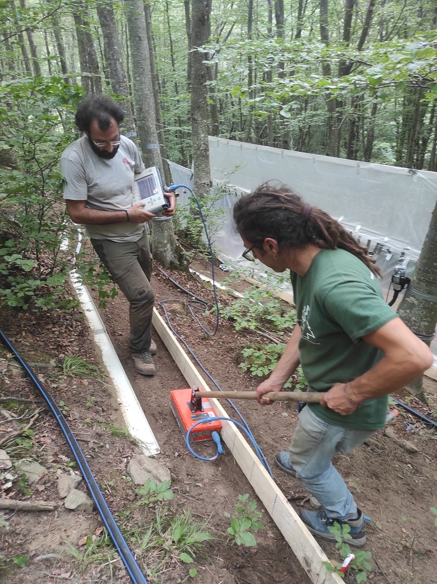 pennalp's tweet photo. People from Argentina, USA, Germany and different parts of Italy have been working together in the Re della Pietra #experimental #catchment for a joint experiment on #simulated #rainfall and #stemflow, and #isotopic and #geophysical characterization of hillslope subsurface flow. https://t.co/yCXee6yWKC