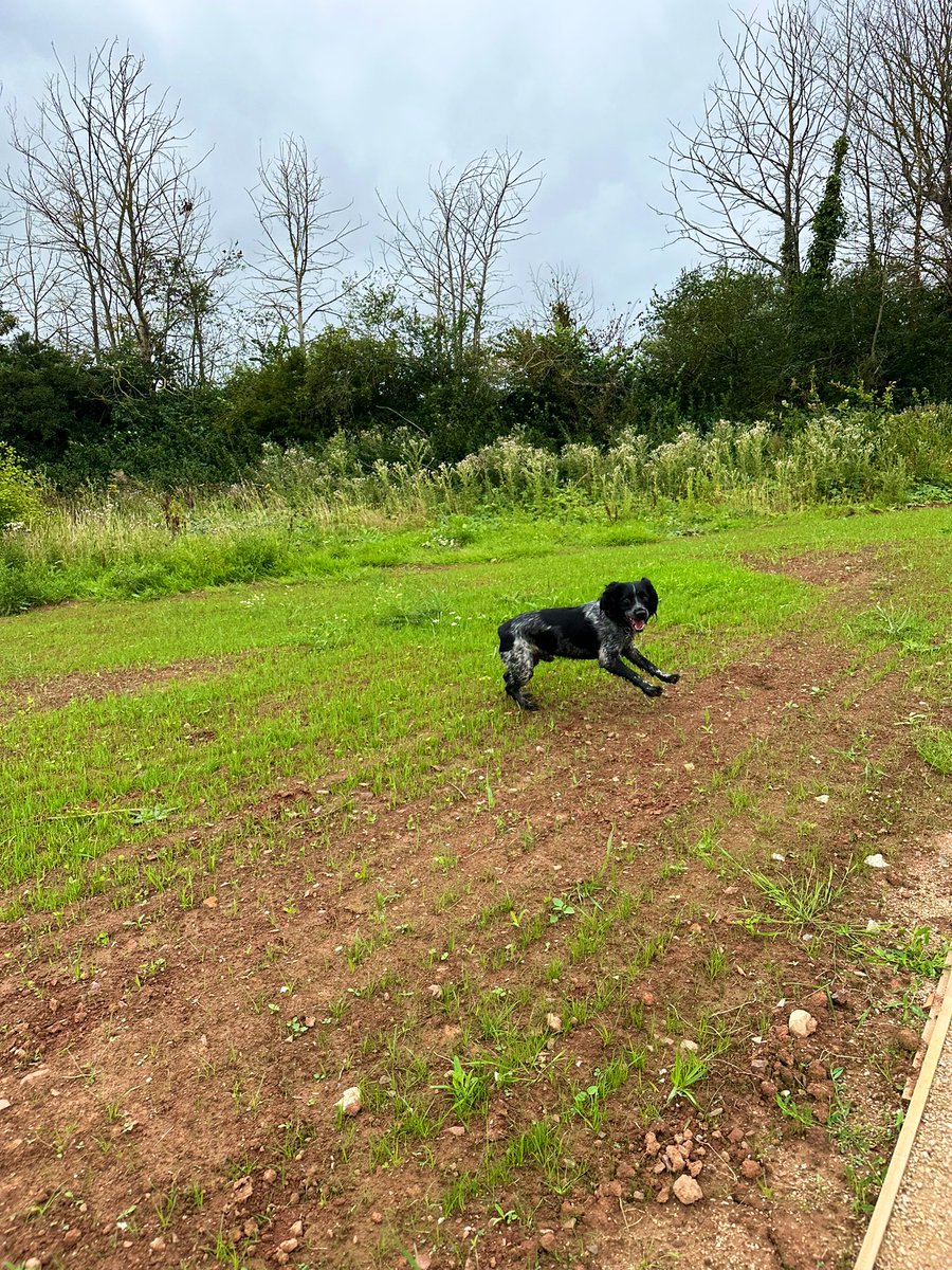 finola_ellis's tweet photo. Todays #dayinpictures 😊. A day of fun and delicious food. I’m exhausted… haven’t been to crealy since I was the one running around!😆 https://t.co/wi0lhmSHO5