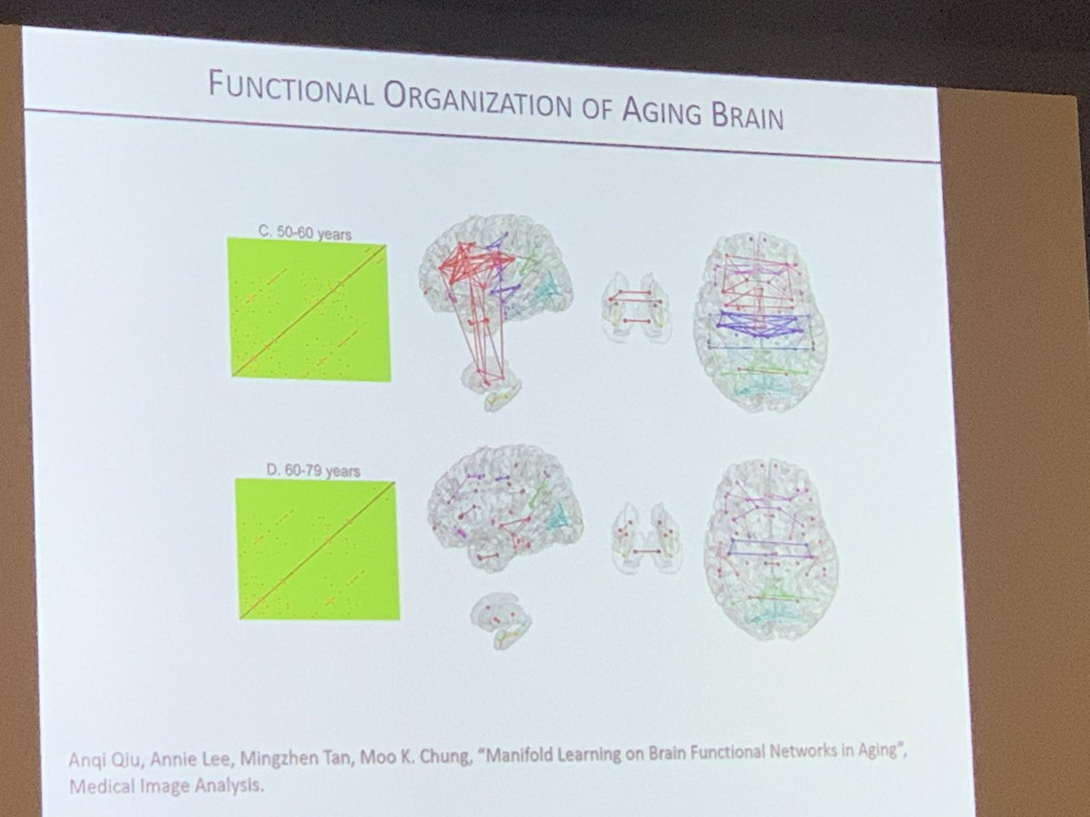 Anqi Qiu uses manifold learning to reduce high dimensional hippocampal shape and functional network data to detect coherent age and disease effects; she explains how metric embedding elucidates significant changes and maps back to the original data #OHBM2023