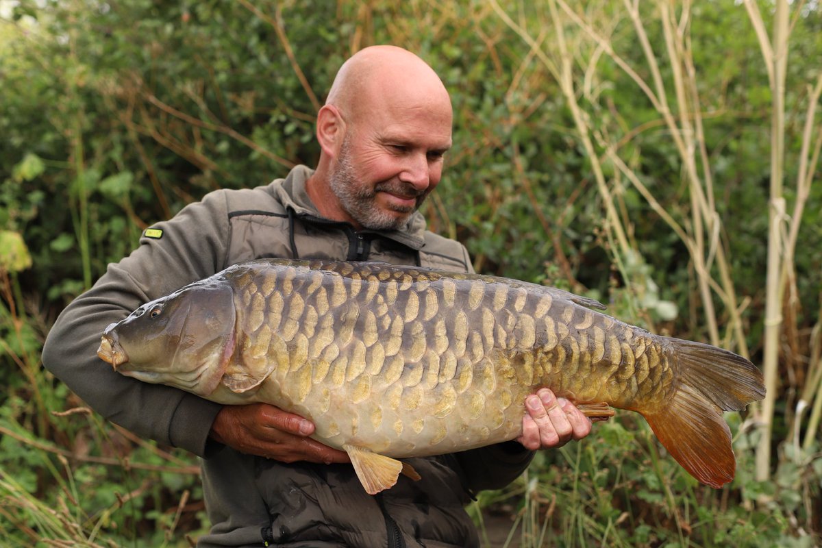 Dave Levy tweet media