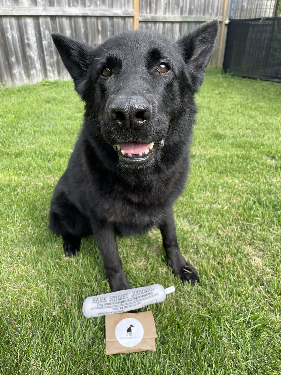 Retired PSD Jack tweet media