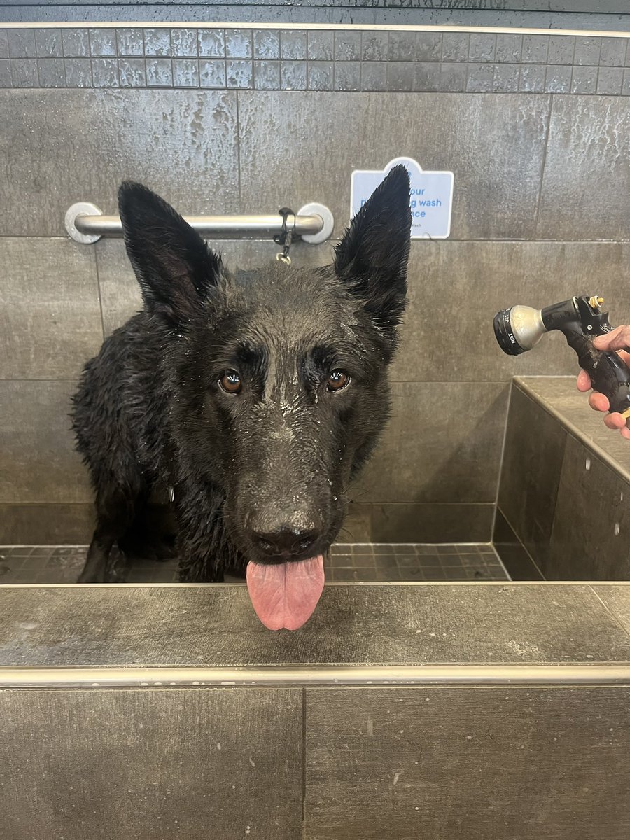 Retired PSD Jack tweet media