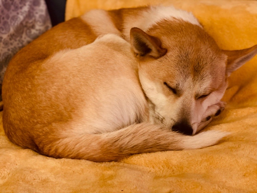 Rocking Granny tweet media