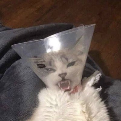 ltcm09's tweet photo. #NovaFotoDePerfil https://t.co/lbjpjf3awW