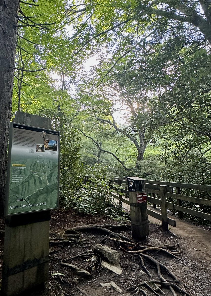 liz_july4th's tweet photo. HAPPY MONDAY!
How was your weekend, dearest followers? 😌😌
Mine has concluded and it’s was awesome😁😁
Confession: I hiked #MountLeConte #GreatSmokeyMts, making it my fifth hike of LeConte.
How I have missed my Smokies. https://t.co/o4j7LceQlw
