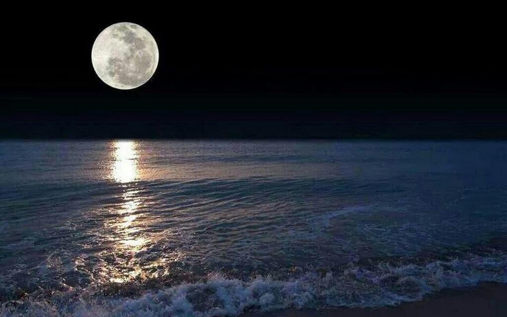 نَعَمْ قد يجورُ عليكَ الورَى
ويَبْلُغُ منكَ الأسى مُنتهاهْ

ويَخذُلُكَ الصاحبُ المرتجَى
ويُبكِيكَ مَن كنتَ تَخْشَى بُكاهْ

يَسِيرٌ عناؤكَ لا تكتئبْ
وأبشر بيسرٍ قريبٍ مَدَاهْ

وناجِ إلهَكَ مُستبشِراً
فما خاب عبدٌ يناجي الإلهْ

#مناجاة