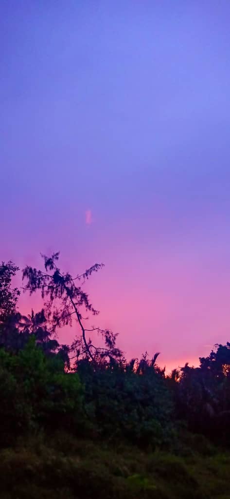 GM Beautiful #nft People! Rise &amp; Shine Everyone 🤠✌️