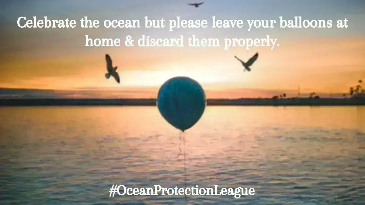 OceanProtectL's tweet image. Celebrate the ocean but please leave your balloons at home &amp;amp; discard them properly.

🎈⛱️
#OceanProtectionLeague #SaveTheOcean #ocean #beach #nature #sea #travel #love #sky #water #climatechange #Sustainable #Balloons #Recycle4Nature #recycling #ClimateAction #environment