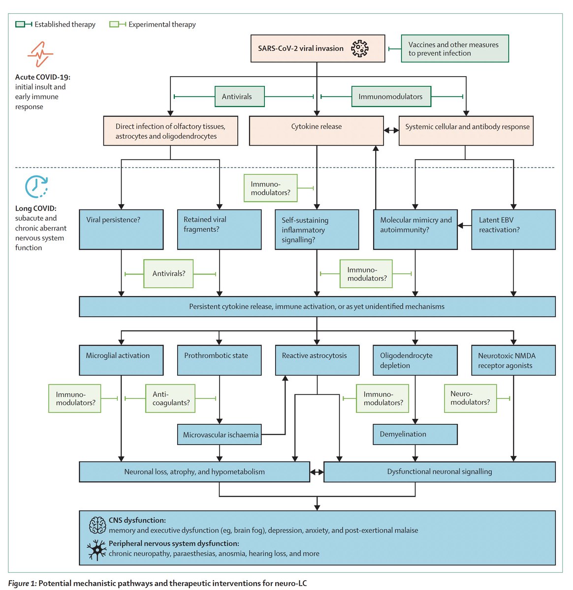 Two very good, new #LongCovid reviews
—On the multi-system sequelae
thelancet.com/journals/lanre…
—On mechanisms of brain/neurologic involvement and potential treatment approaches
thelancet.com/journals/lanre…
<a href="/LancetRespirMed/">The Lancet Respiratory Medicine</a>