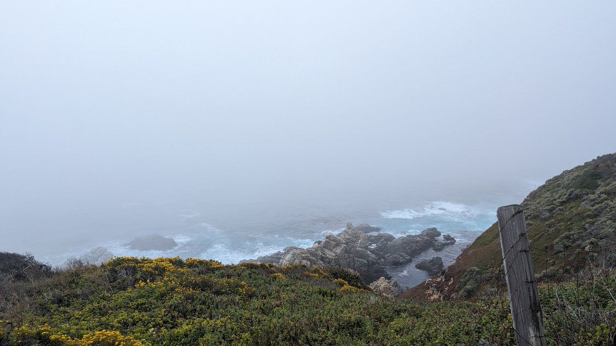 paper_machette's tweet image. Went on a road trip a while back to just recharge my battery. I love nature.