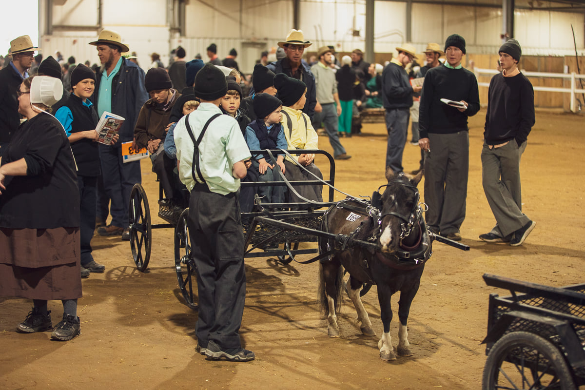 MichianaEvents's tweet photo. When:
Friday Oct 13th, 2023, 5 PM
Auction starts at 5PM
*Doors are open all day

See 130+ well-trained ponies being driven in carts and in hitches. It's a great place to buy a trustworthy pony and it's a great evening of entertainment. 

https://t.co/VS8Lfc1Vqg https://t.co/hJvUycaVI2