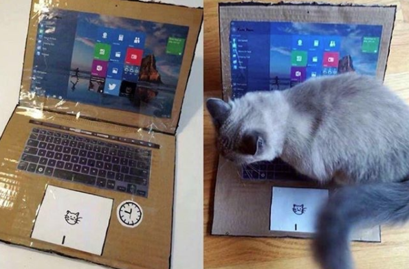 fiz um computador fake pro gato parar de me perturbar