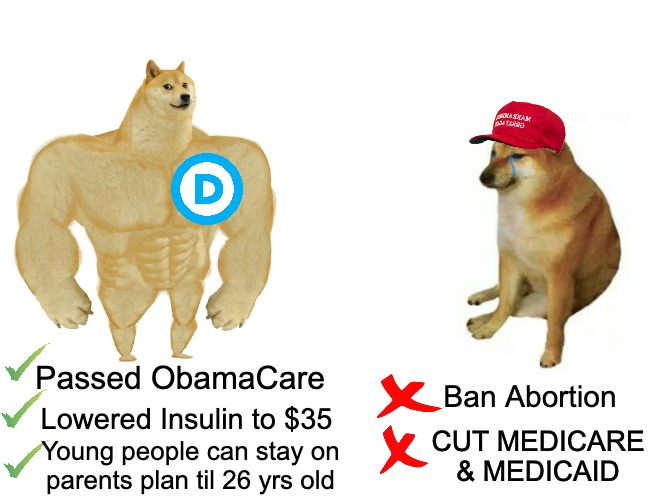 Health Care Voter tweet media