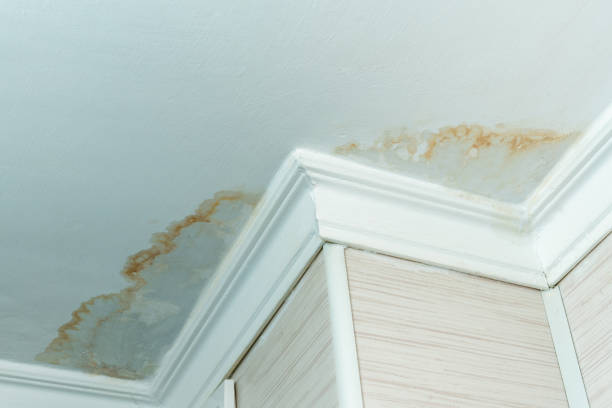 Roof leaks can be sneaky. Look out for water stains on ceilings, peeling paint, or mold growth as signs of a leak. If you suspect a leak, contact a professional like Allcon Roofing to identify and fix the problem promptly. #RoofLeaks #WaterDamage