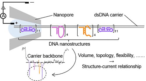 YOLO4CHEM's tweet image. DNA Volume, Topology, and Flexibility Dictate Nanopore Current Signals  pubs.acs.org/doi/10.1021/ac…

The ionic current drop is mainly determined by the volume and flexibility of the #DNA #nanostructure in the #nanopore.