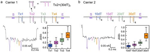 YOLO4CHEM's tweet image. DNA Volume, Topology, and Flexibility Dictate Nanopore Current Signals  pubs.acs.org/doi/10.1021/ac…

The ionic current drop is mainly determined by the volume and flexibility of the #DNA #nanostructure in the #nanopore.