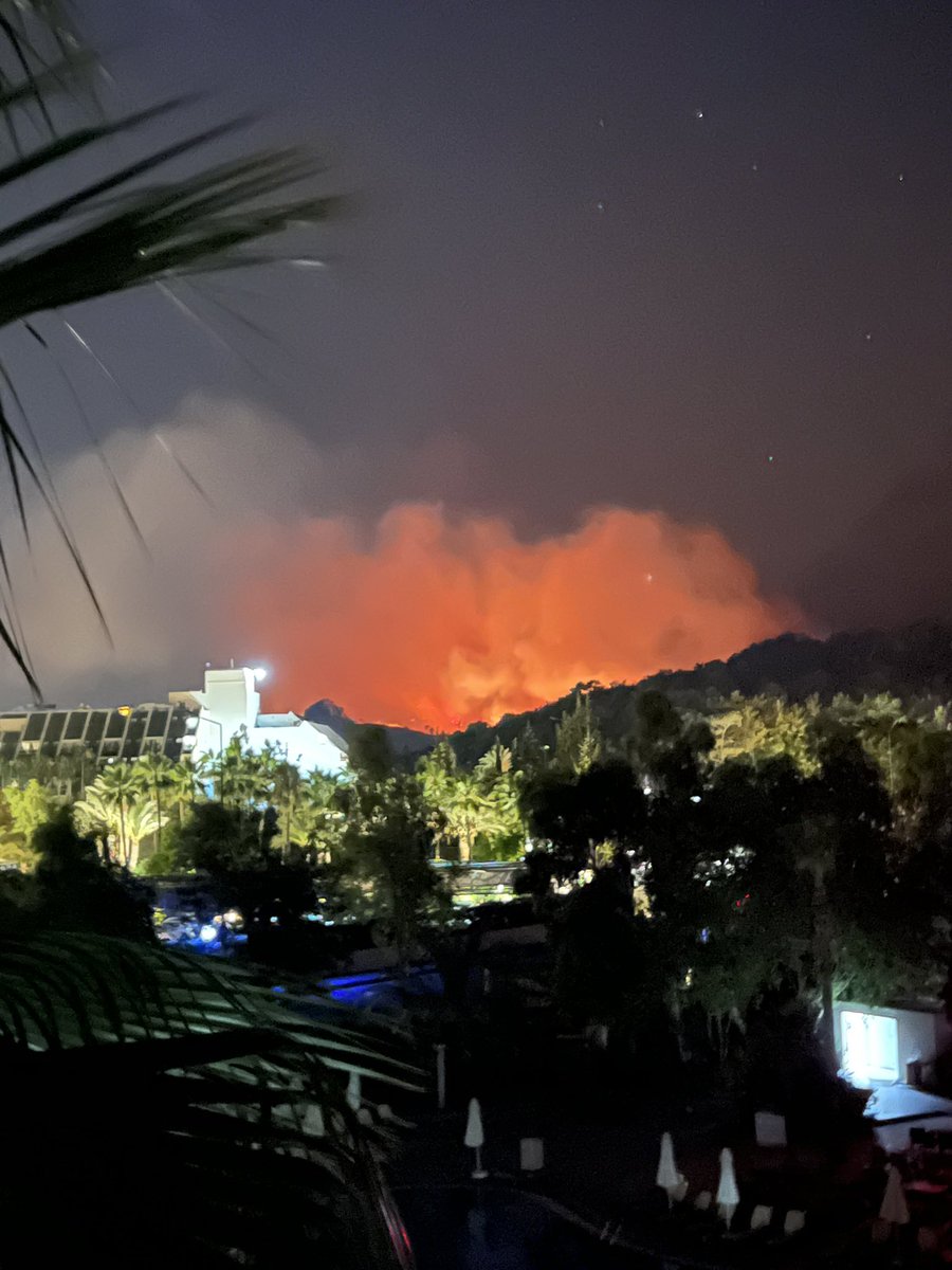 The Old Mill House tweet media