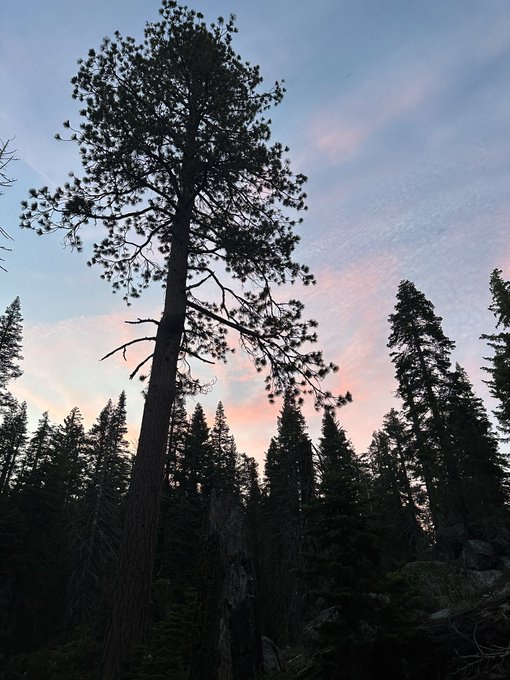 Spent the last 3 days backpacking through Yosemite with friends and only came back to take your cash