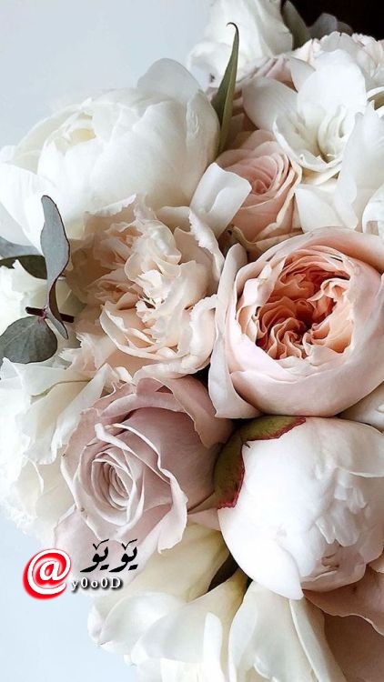 ••ᘓ᭄⍣⃝ ˓٭˛✿|• 𓏲••𝒴ℴℴ𝓈𝓊𝒻••♥ tweet media