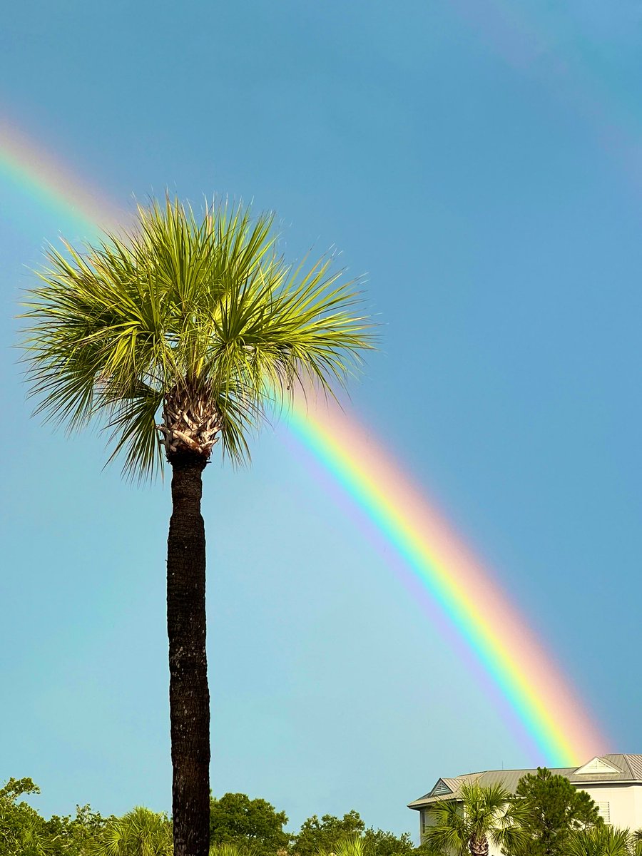 iwaggle's tweet image. Double 🌈 on Hilton Head Island @EdPiotrowski @chswx @spann